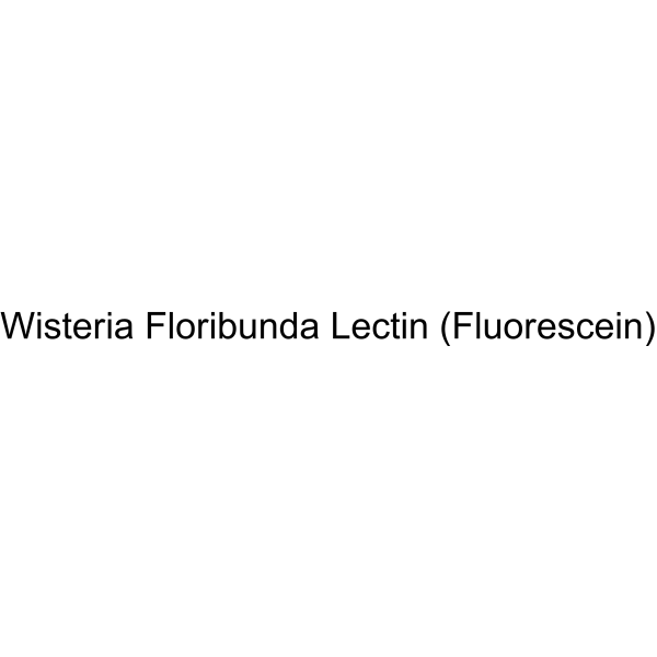 Wisteria Floribunda Lectin (Fluorescein)